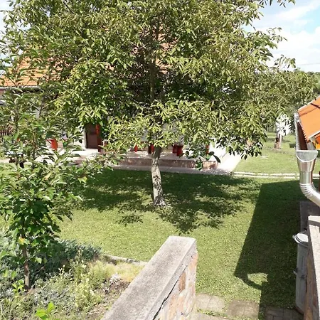 Mátyás *